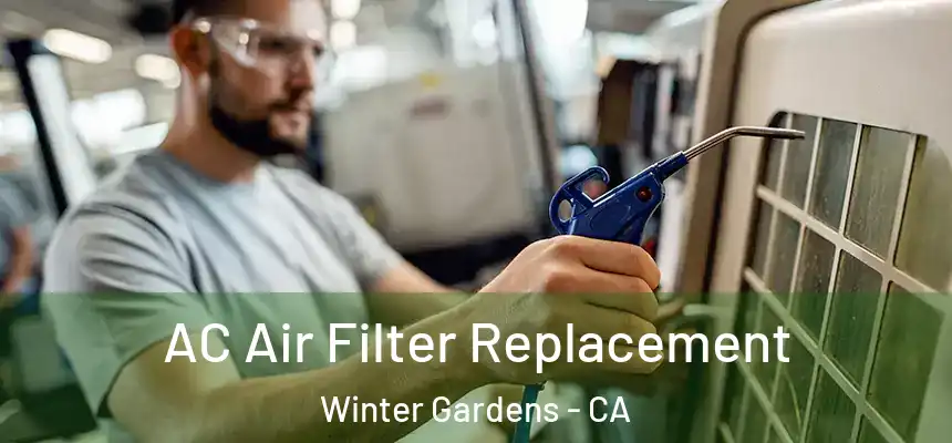  AC Air Filter Replacement Winter Gardens - CA