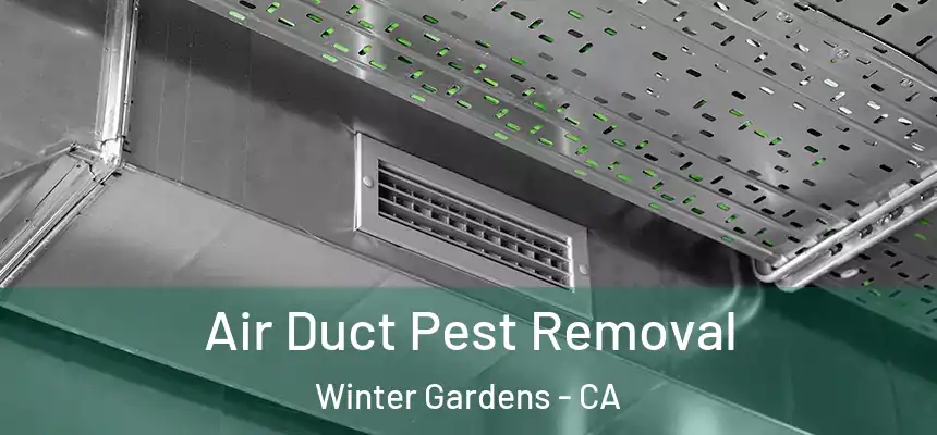  Air Duct Pest Removal Winter Gardens - CA