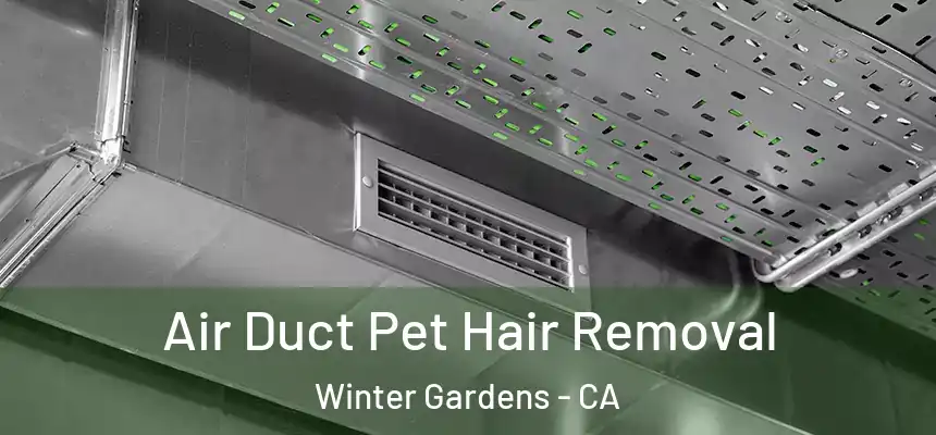 Air Duct Pet Hair Removal Winter Gardens - CA