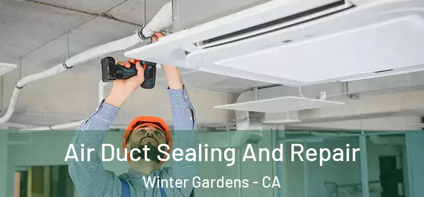 Air Duct Sealing And Repair Winter Gardens - CA