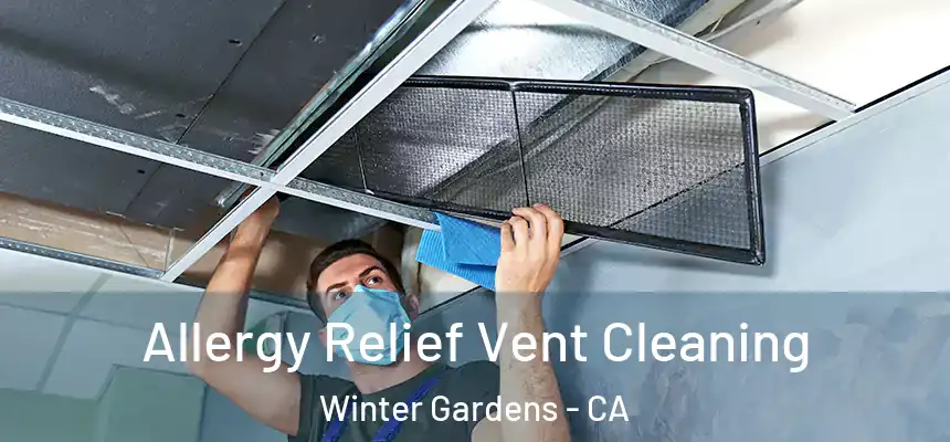  Allergy Relief Vent Cleaning Winter Gardens - CA