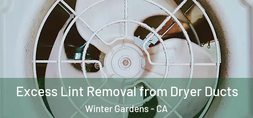 Excess Lint Removal from Dryer Ducts Winter Gardens - CA