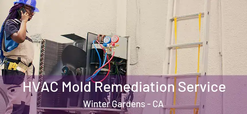  HVAC Mold Remediation Service Winter Gardens - CA