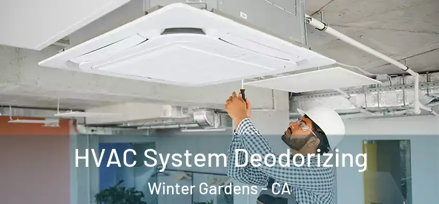  HVAC System Deodorizing Winter Gardens - CA
