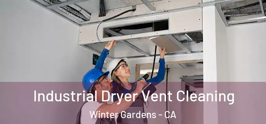 Industrial Dryer Vent Cleaning Winter Gardens - CA