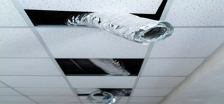 Our Air Duct Pet Hair Removal Services in Winter Gardens, CA