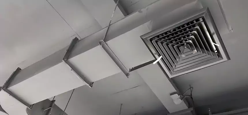 Restorative Allergy Relief Vent Cleaning – Coil, Blower & Housing Detail in Winter Gardens