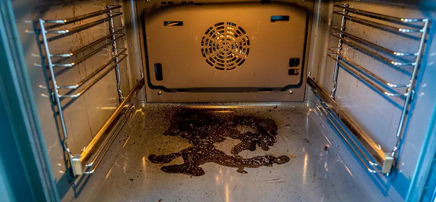 Our Dryer Vent Mold Cleaning Services in Winter Gardens, CA