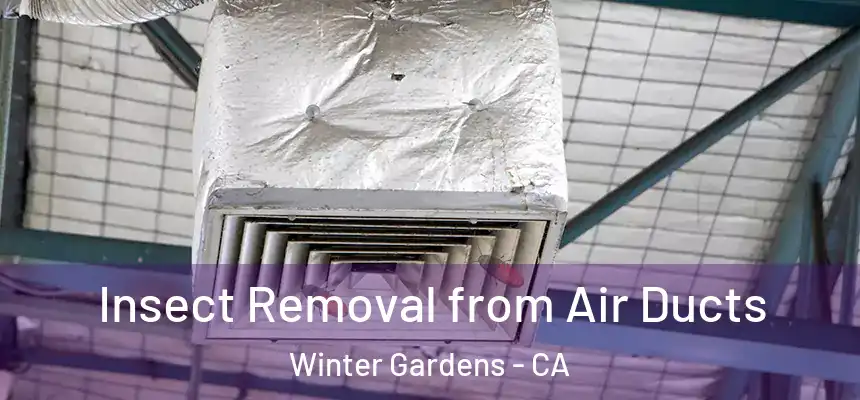Insect Removal from Air Ducts Winter Gardens - CA