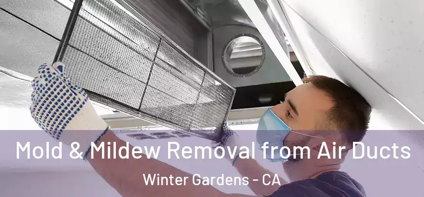  Mold & Mildew Removal from Air Ducts Winter Gardens - CA