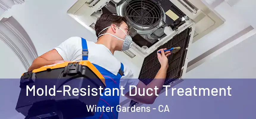  Mold-Resistant Duct Treatment Winter Gardens - CA