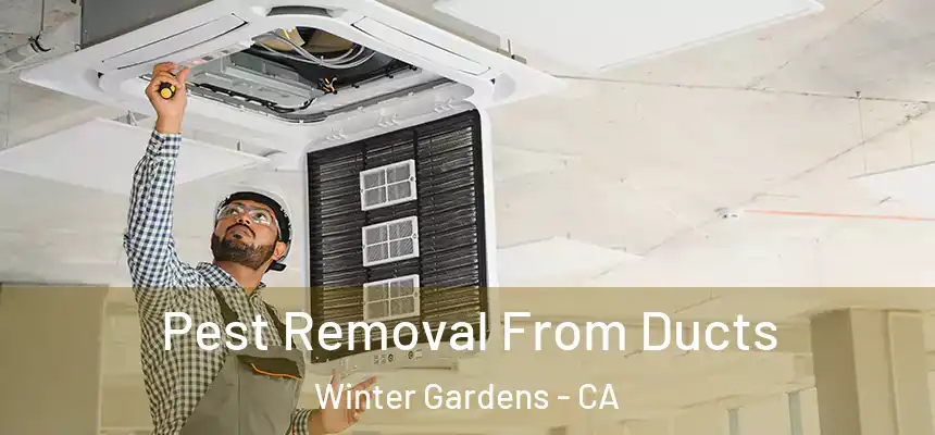 Pest Removal From Ducts Winter Gardens - CA