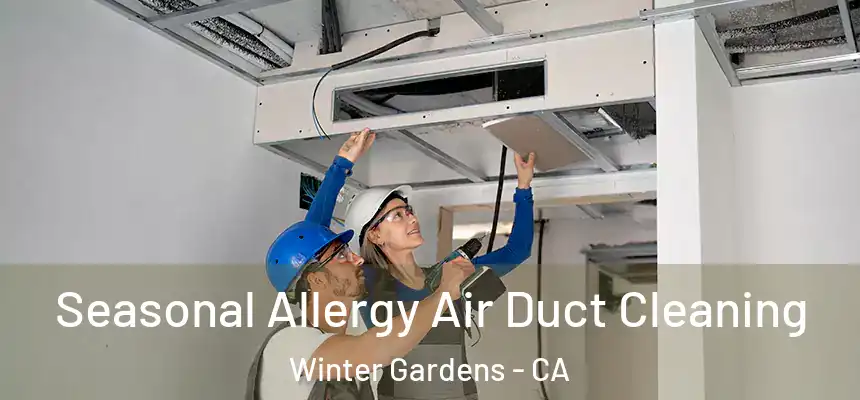 Seasonal Allergy Air Duct Cleaning Winter Gardens - CA