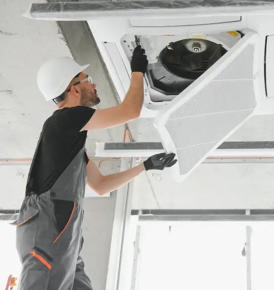 About Air Duct Rodent Removal in Winter Gardens, CA