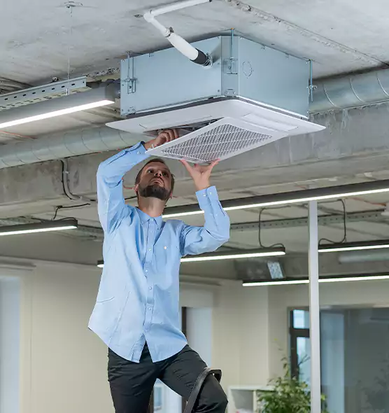 Advanced Rodent Droppings In Vents in Winter Gardens, CA