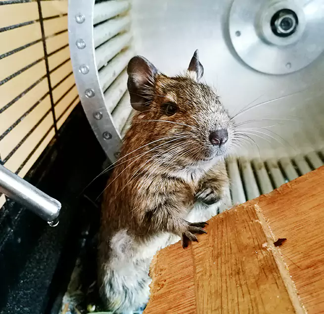 Why Homeowners & Businesses Trust Us Winter Gardens, CA