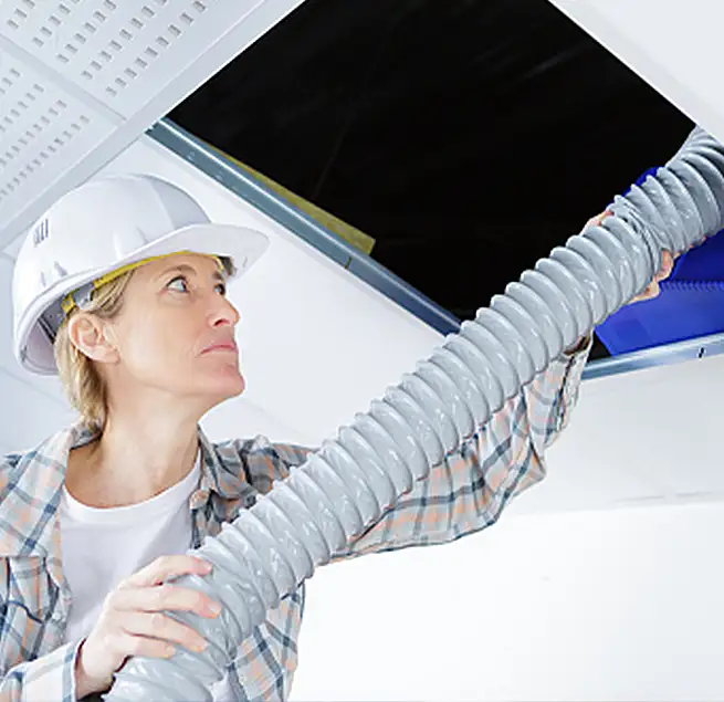 Why Homeowners & Businesses Trust Us Winter Gardens, CA