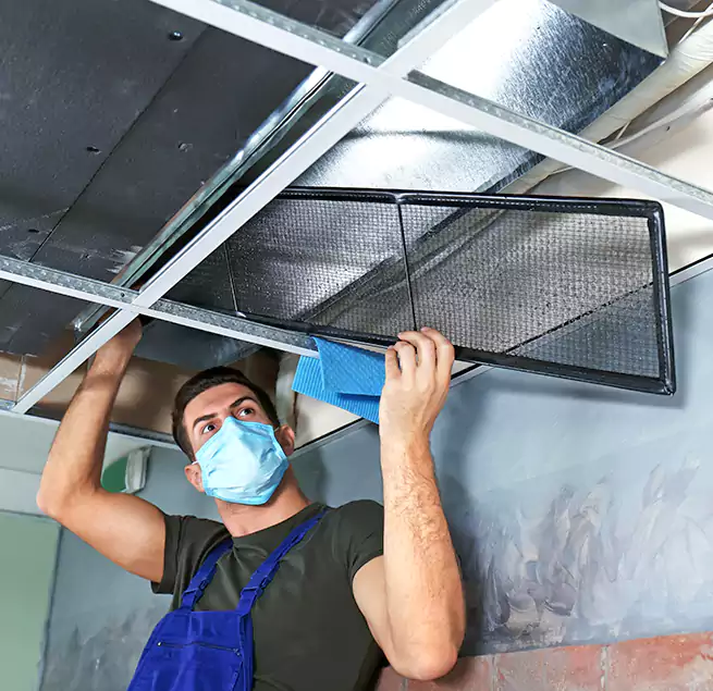 Why Homeowners Businesses Trust Us in Winter Gardens, CA