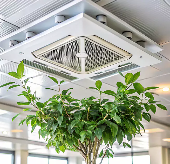 Why Homeowners & Businesses Trust Us in Winter Gardens, CA