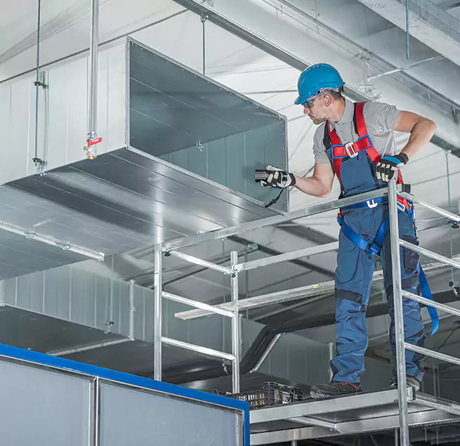 Why Homeowners & Businesses Trust Us in Winter Gardens, CA?