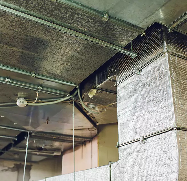 Why Homeowners & Businesses Trust Us in Winter Gardens, CA?