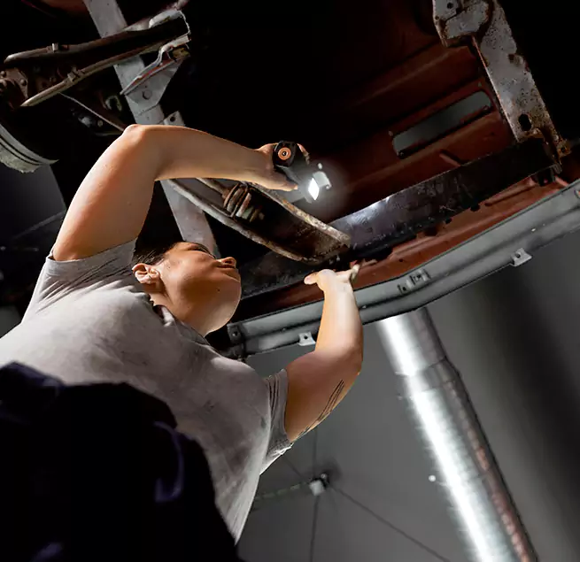 Why Homeowners & Businesses Trust Us Winter Gardens, CA